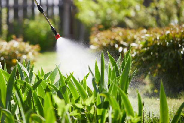 24/7 Emergency Wasp Removal experts in Sunman, IN