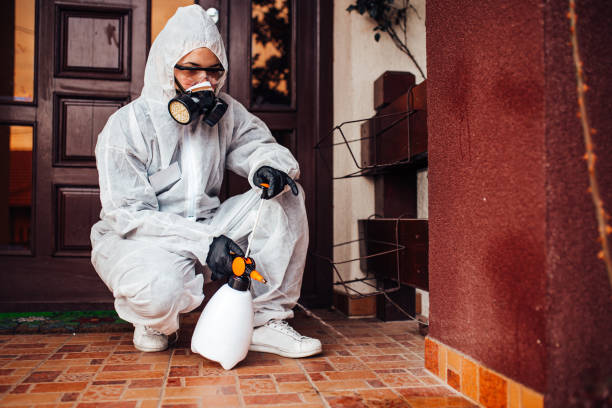 Reliable Wasp Removal contractor in Sunman, IN by Show Me Pest Control